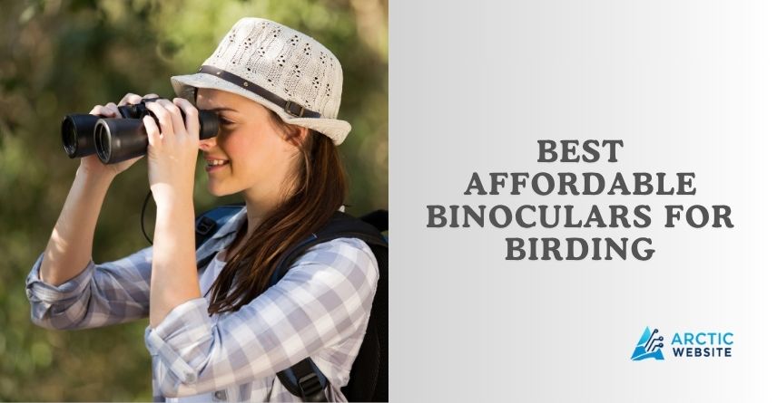 best affordable binoculars for birding