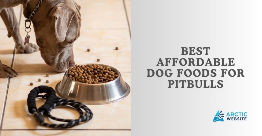 best affordable dog foods for pitbulls