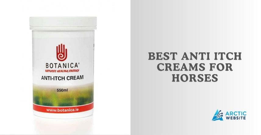 best anti itch creams for horses