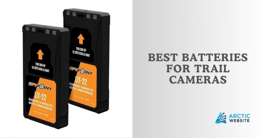 best batteries for trail cameras