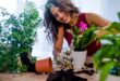beginner guide to indoor plant care
